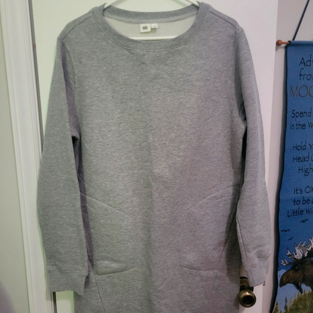 Tentree Sweatshirt Dress